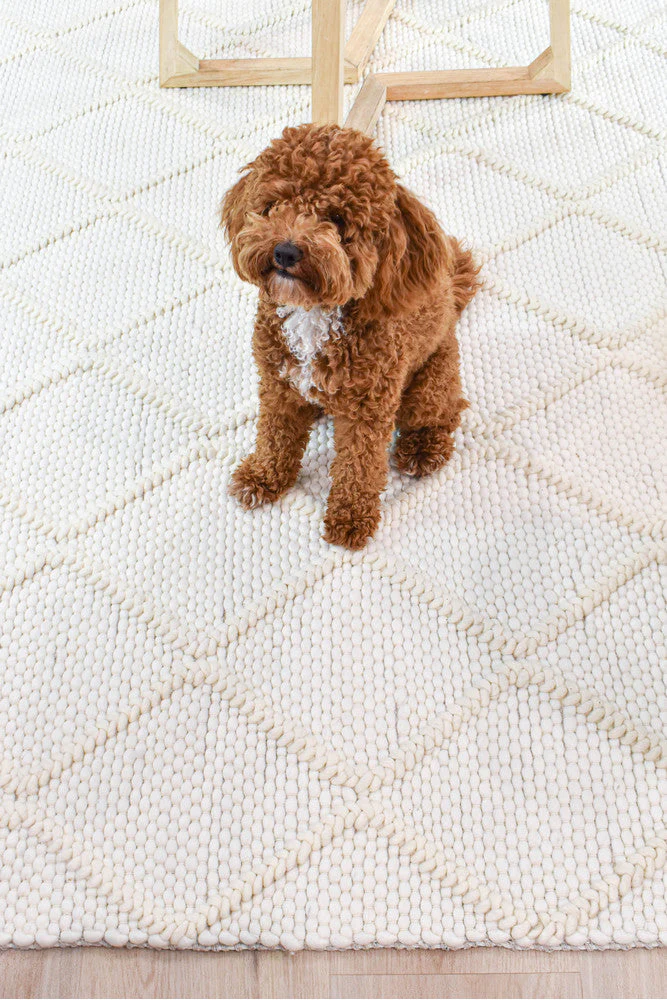Allure Diamond Frost Wool Rug - Image 4