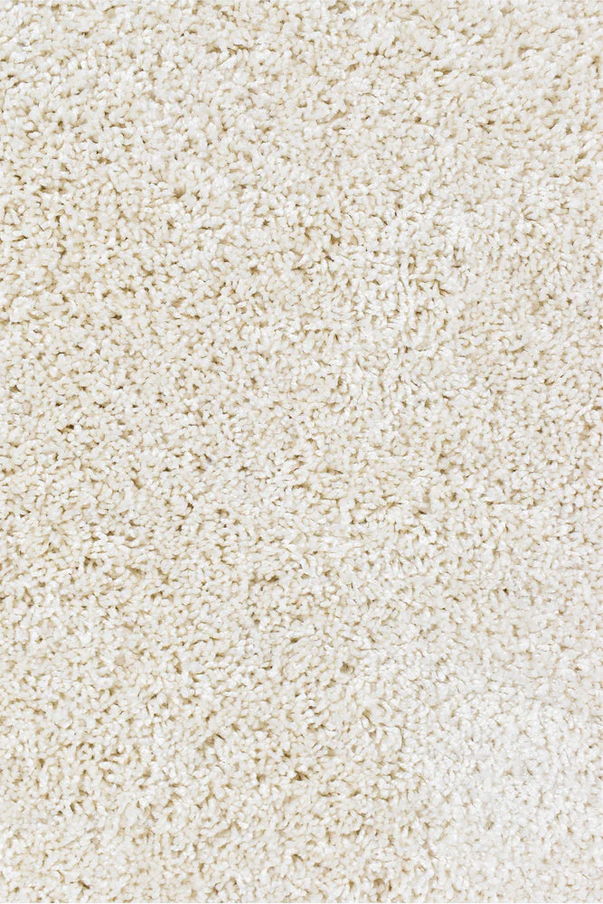 Polar Bear Snow - Image 6