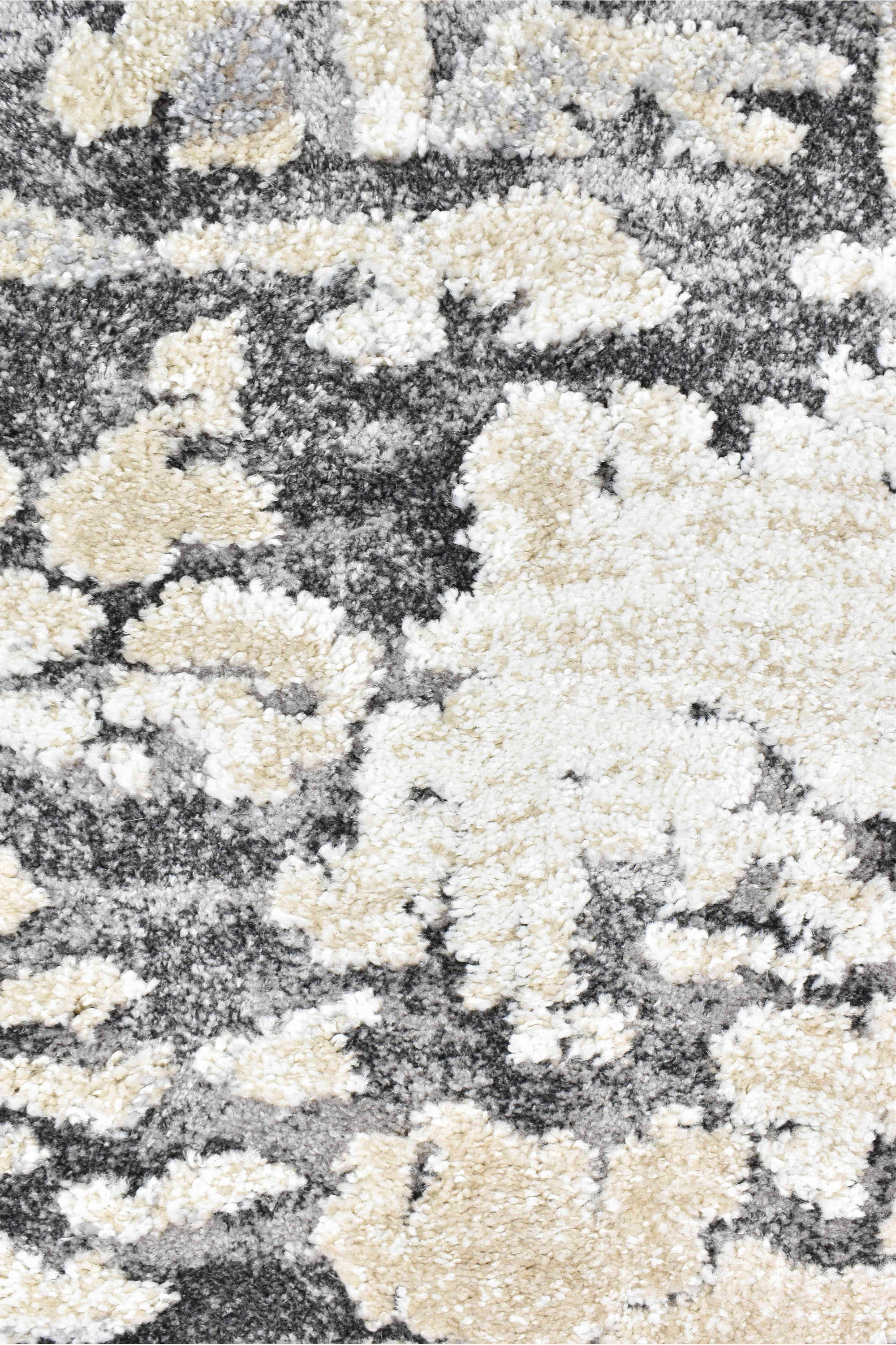 Roman 09725A Brown Land - Image 6