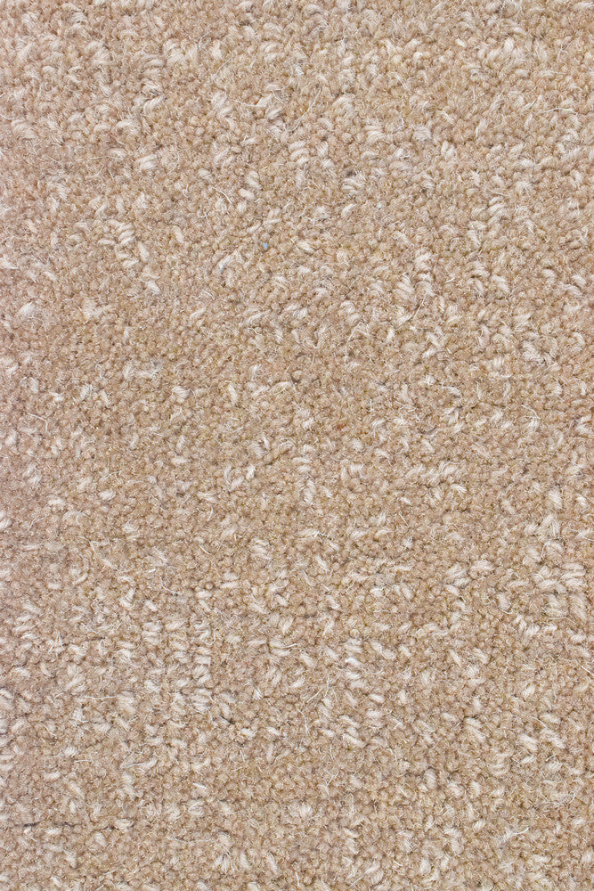 Montana Beach - Image 10